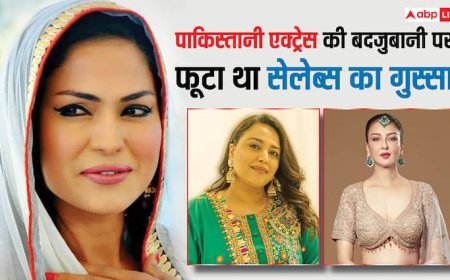 'आपकी बीमार मानसिकता पर शर्म आती है', पाकिस्तानी एक्ट्रेस पर भड़के थे सेलेब्स