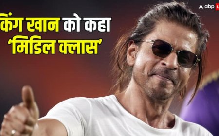'दुनिया भर की दौलत है पर मिडिल क्लास है', शाहरुख खान को लेकर फिल्म मेकर ने क्यों कही ये बात?