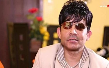 डायरेक्टर पार्थो घोष के अंतिम संस्कार के बाद क्यों भड़क गए KRK, कहा- 'मैं प्लेन क्रैश में मर जाऊं'
