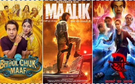 राजकुमार की इन 5 फिल्मों का रिकॉर्ड नहीं तोड़ पाई 'मालिक', देखें एक्टर की हाईएस्ट ओपनिंग मूवीज