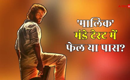 Maalik Box Office Collection Day 4: 'मालिक' ने वीकेंड में काटा बवाल, अब जानिए मंडे टेस्ट में फेल या पास?