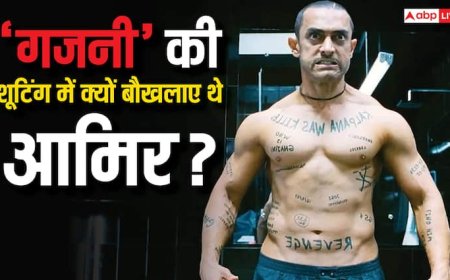 इस सुपरहिट के लिए आमिर खान ने सबकुछ लगाया था दांव पर, फिर क्यों सेट पर देने लगे थे गालियां?