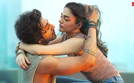 Saiyaara Starcast Fees: डेब्यू फिल्म के लिए अहान पांडे और अनीत पड्डा को कितनी मिली फीस, जान लीजिए