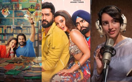 तृप्ति डिमरी की 'धड़क 2' से पहले ये फिल्में जरूर देख लें ओटीटी पर, एक्ट्रेस ने किया है कमाल