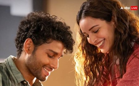 ‘धड़क 2’ हिट हुई या फ्लॉप?  जानें- तृप्ति डिमरी-सिद्धांत चतुर्वेदी की फिल्म ने 3 दिन में कितना किया कलेक्शन