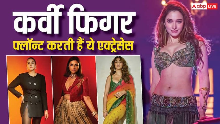 जीरो साइज छोड़ अपनी कर्वी बॉडी पर खूब इतराती हैं ये हसीनाएं, लिस्ट में अजय देवगन की एक्ट्रेस भी शामिल